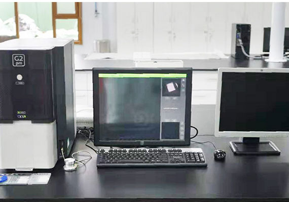 Scanning electron microscope